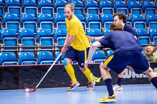 Martin Östholm, Sverige