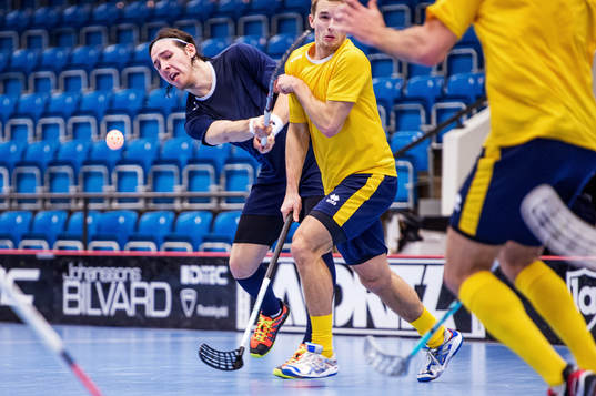 Robin Nilsberth, Sverige
