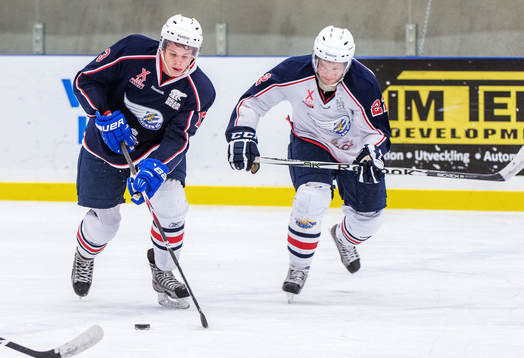 Damir Mehic, Pontus Ekblom, fystränare, Häcken