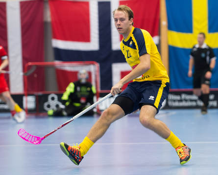 Rasmus Sundstedt, Sverige
