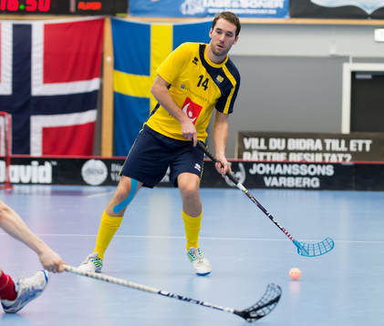 Henrik Qvist, Sverige