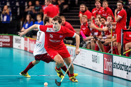 Willy Fauskanger, Norge