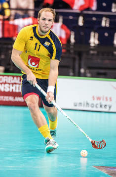 Martin Östholm, Sverige