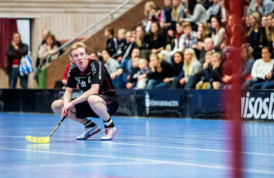 Alexander Rudd, Falun, deppar