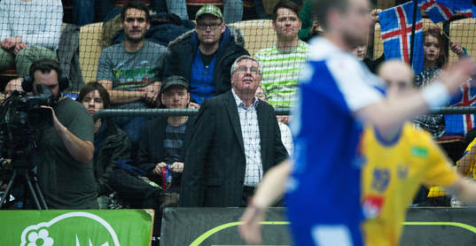 Frank Steen, Svenska Handbollsförbundet