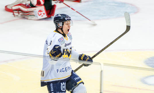 Rhett Rakhshani, HV71, jublar