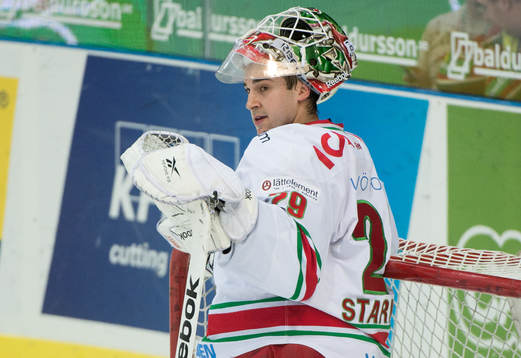 Bernhard Starkbaum, målvakt, Modo
