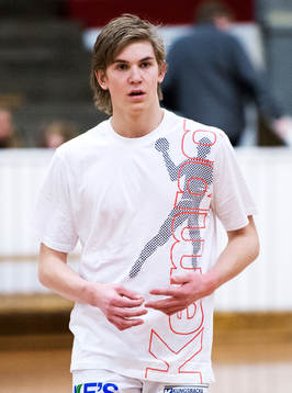 Anton Hallbäck, Aranäs