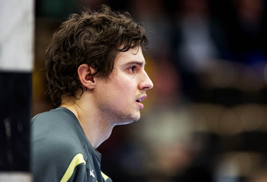 Handboll, Champions League, Sävehof - Celje Pivovarna