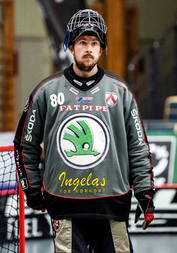 Henrik Qvist, målvakt, Linköping