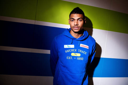 Michel Tornéus, Sverige