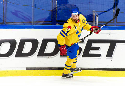Dick Axelsson, Sverige