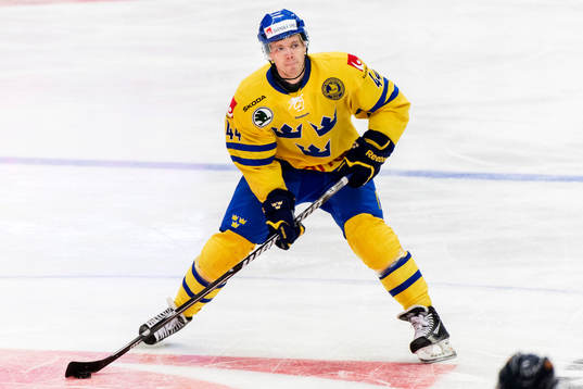 Nicklas Danielsson, Sverige