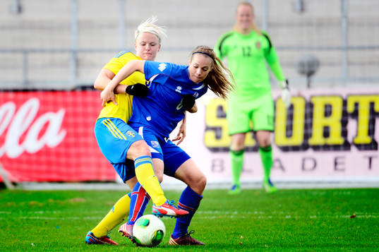 Nilla Fischer, Sverige