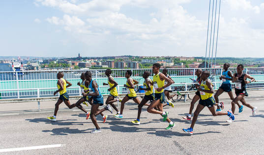 Tätklungan på Elfsborgsbron
