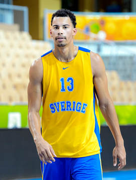 Sveriges Erik Rush
