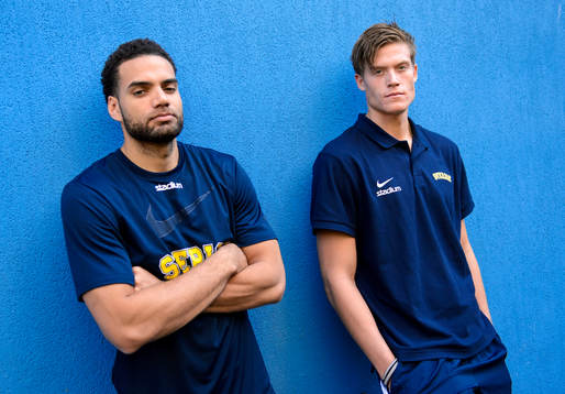 Sveriges Jeffery Taylor och Jonas Jerebko