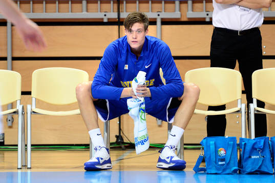 Sveriges Jonas Jerebko