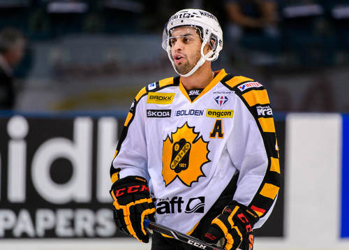 Skellefteås Pierre-Edouard Bellemare innan ishockeymatchen