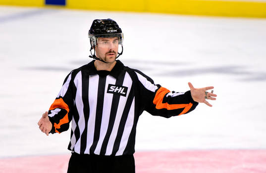 Domare Mikael Sjöqvist