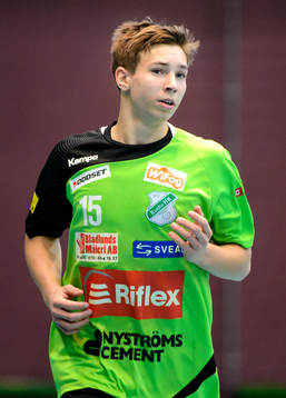 Rimbos Jerry Tollbring