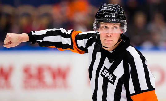 Domaren Morgan Johansson
