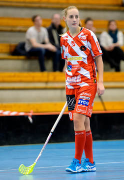 Pixbos Alicia Fylke