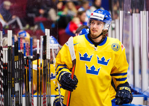 Sveriges Sebastian Collberg
