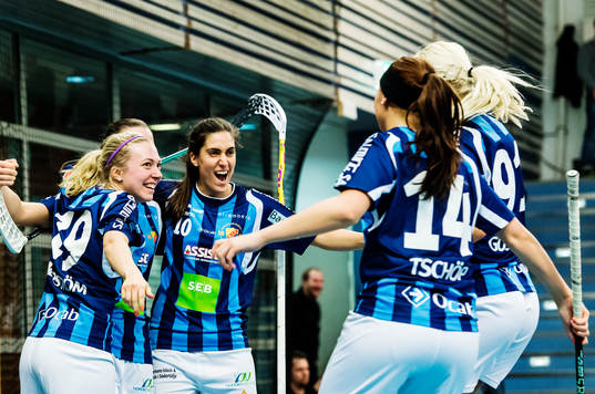 Djurgårdens spelar jublar