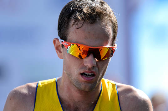 Fredrik Johansson, Sverige