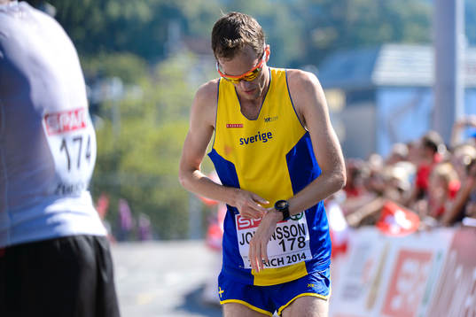 Fredrik Johansson, Sverige