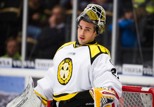 Brynäs målvakt Bernhard Starkbaum