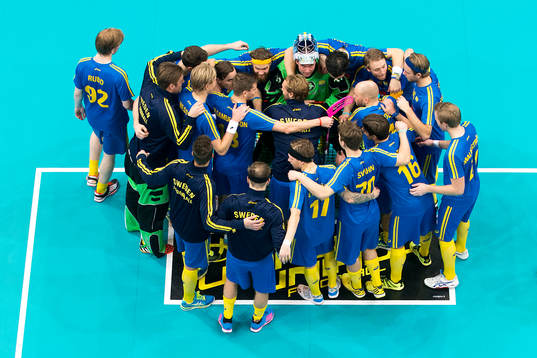 Sveriges spelare firar