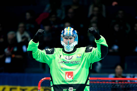 Sveriges målvakt Patrik Åman jublar