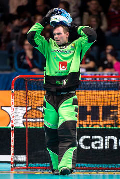 Sveriges målvakt Patrik Åman