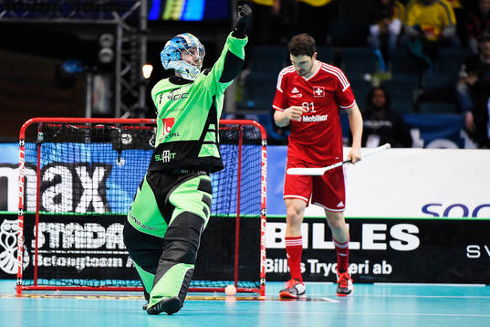 Sveriges målvakt Patrik Åman jublar