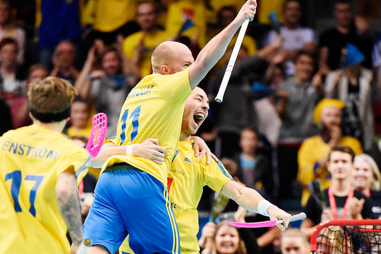 Sveriges spelare jublar