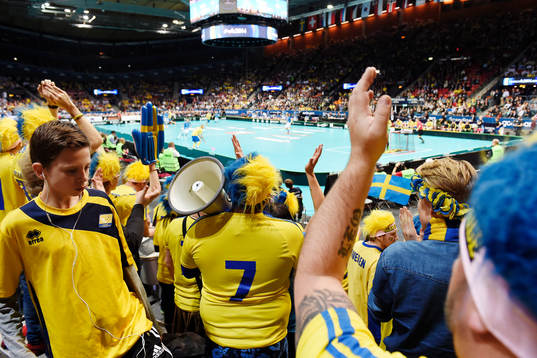 Svenska supportrar
