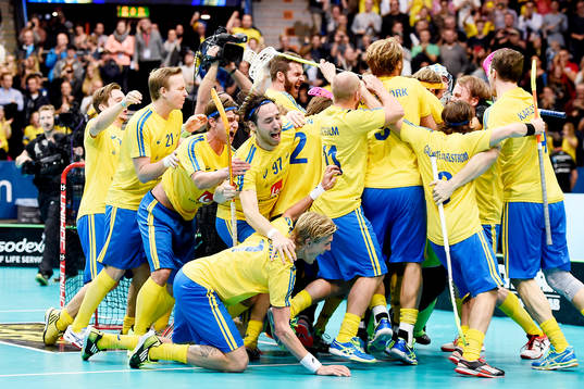 Sveriges spelare jublar