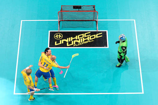 Sveriges Robin Nilsberth firar