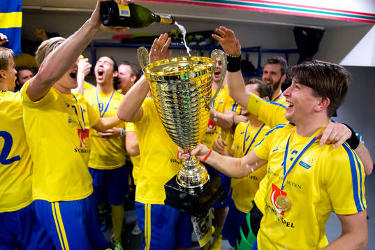 Sveriges spelare firar i omklädningsrummet