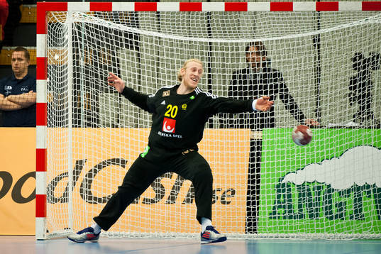 Sveriges målvakt Mikael Appelgren