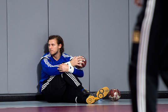 Bläddra bland fler bilder av Handboll, VM, Sverige, Träning