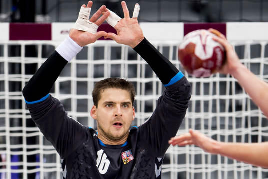 Tjeckiens målvakt Martin Galia
