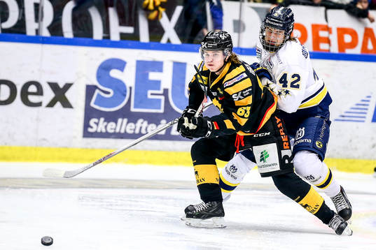 Bläddra bland fler bilder av Ishockey, Shl, Skellefteå - Hv71