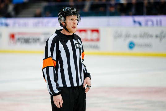 Domare Mikael Holm
