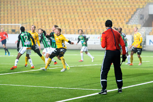 En målområdesdomare