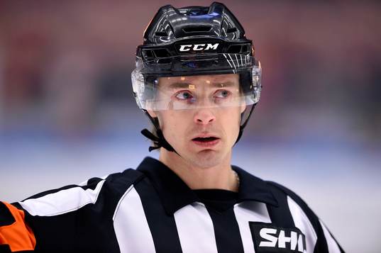 Domare Mikael Andersson