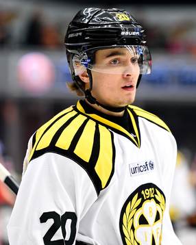 Brynäs Adam Brodecki