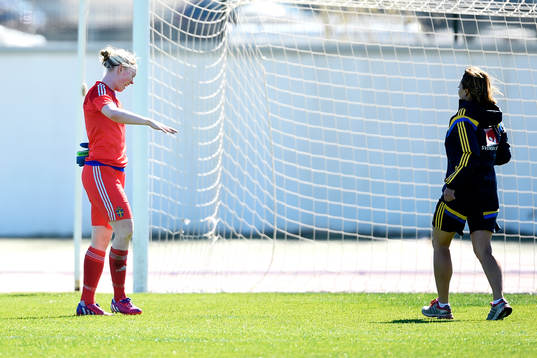 Sveriges målvakt Hedvig Lindahl skadar handen